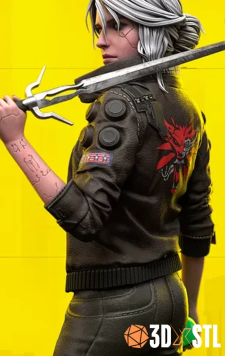 Ciri Witcher Cyberpunk 2077 STL Epic 3D Model